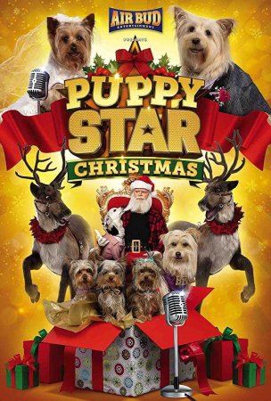 Puppy Star : c’est Noël !