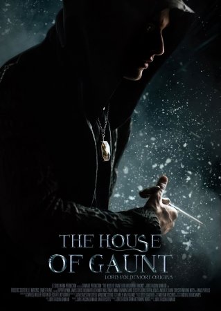 The House of Gaunt : Lord Voldemort Origins